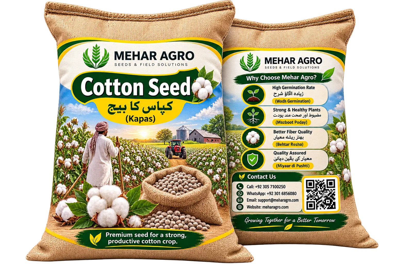 کپاس کا بیج (Cotton Seed)