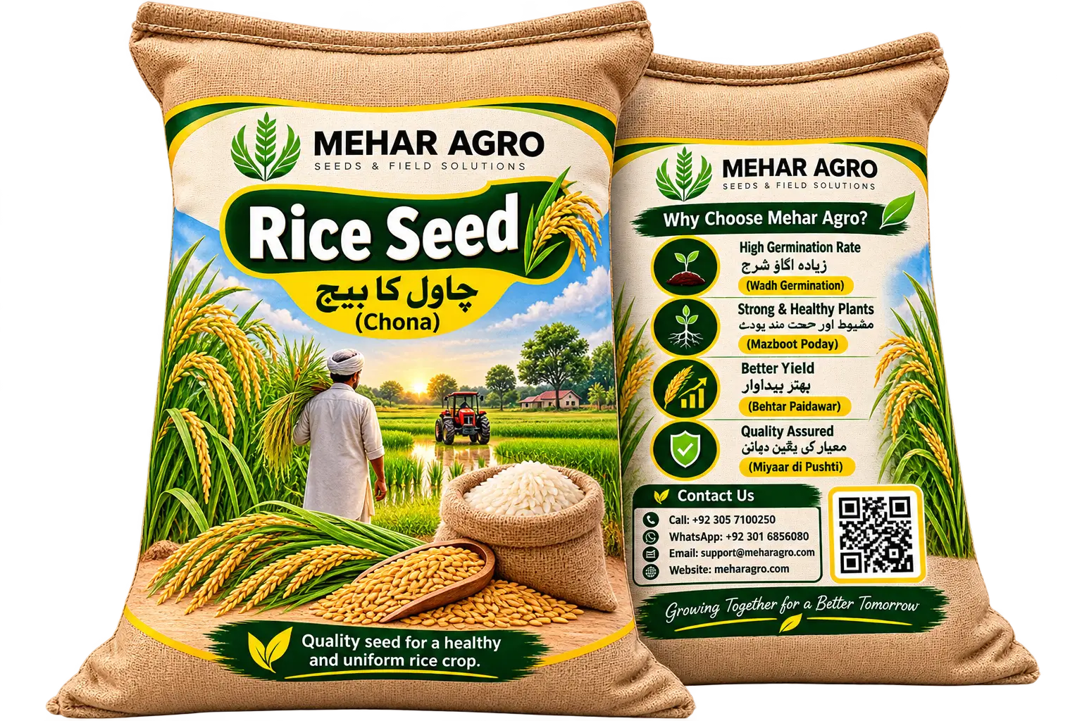چاول کا بیج (Rice Seed)