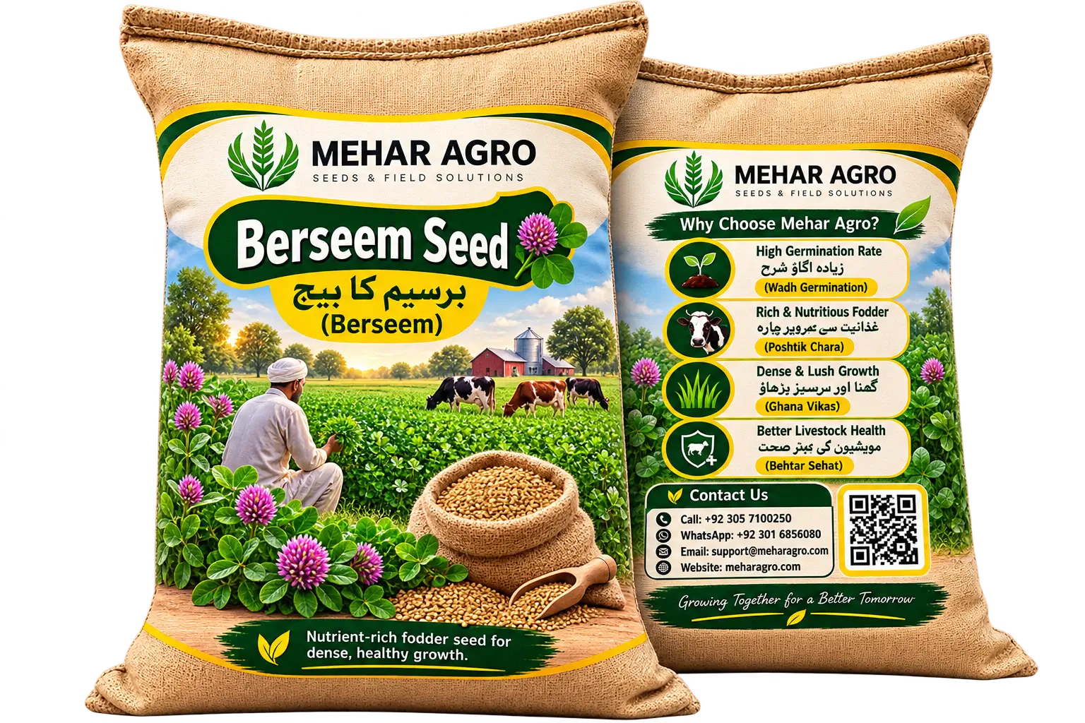 برسیم کا بیج (Berseem Seed)