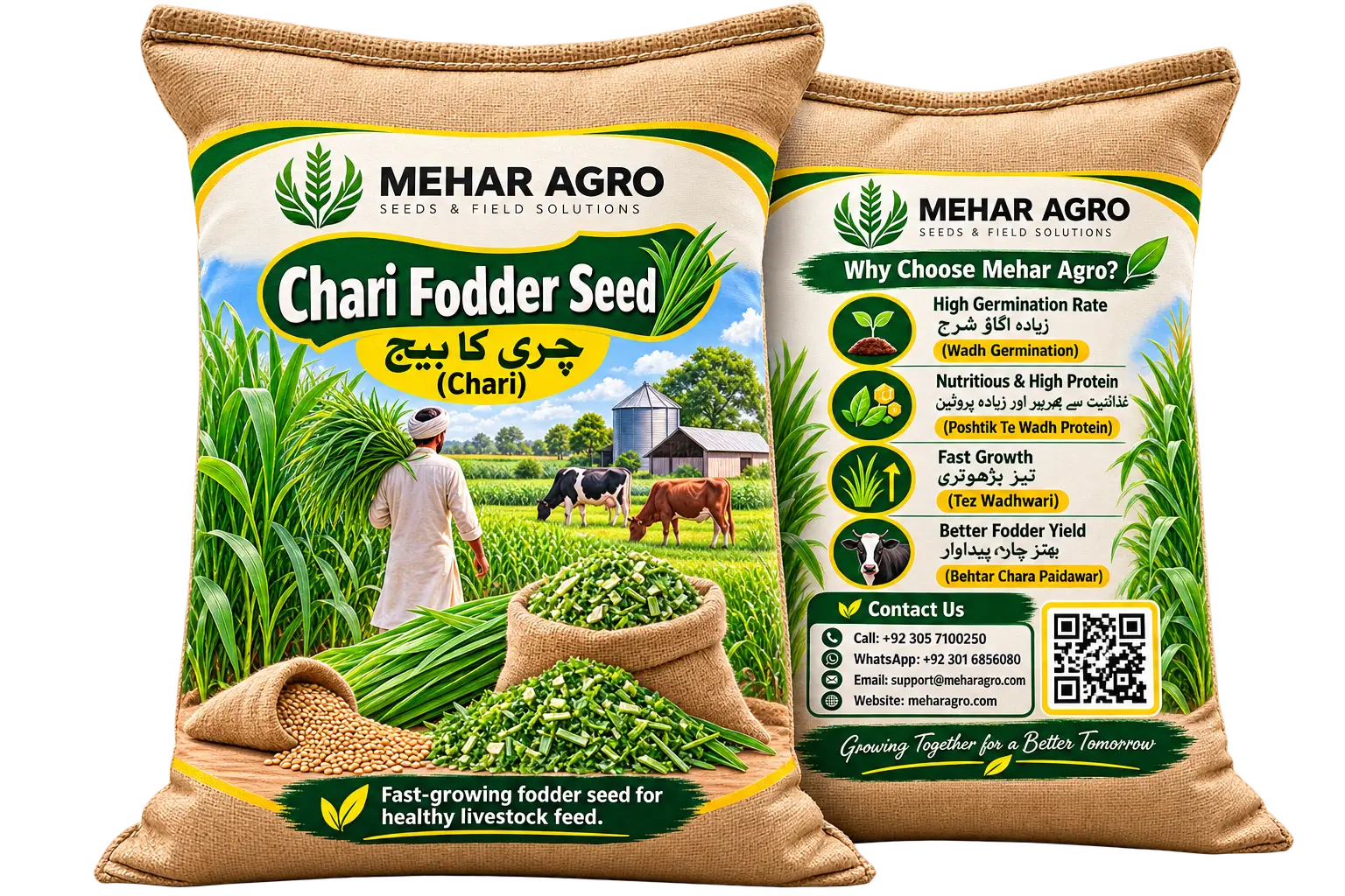 چری کا بیج (Chari Seed)
