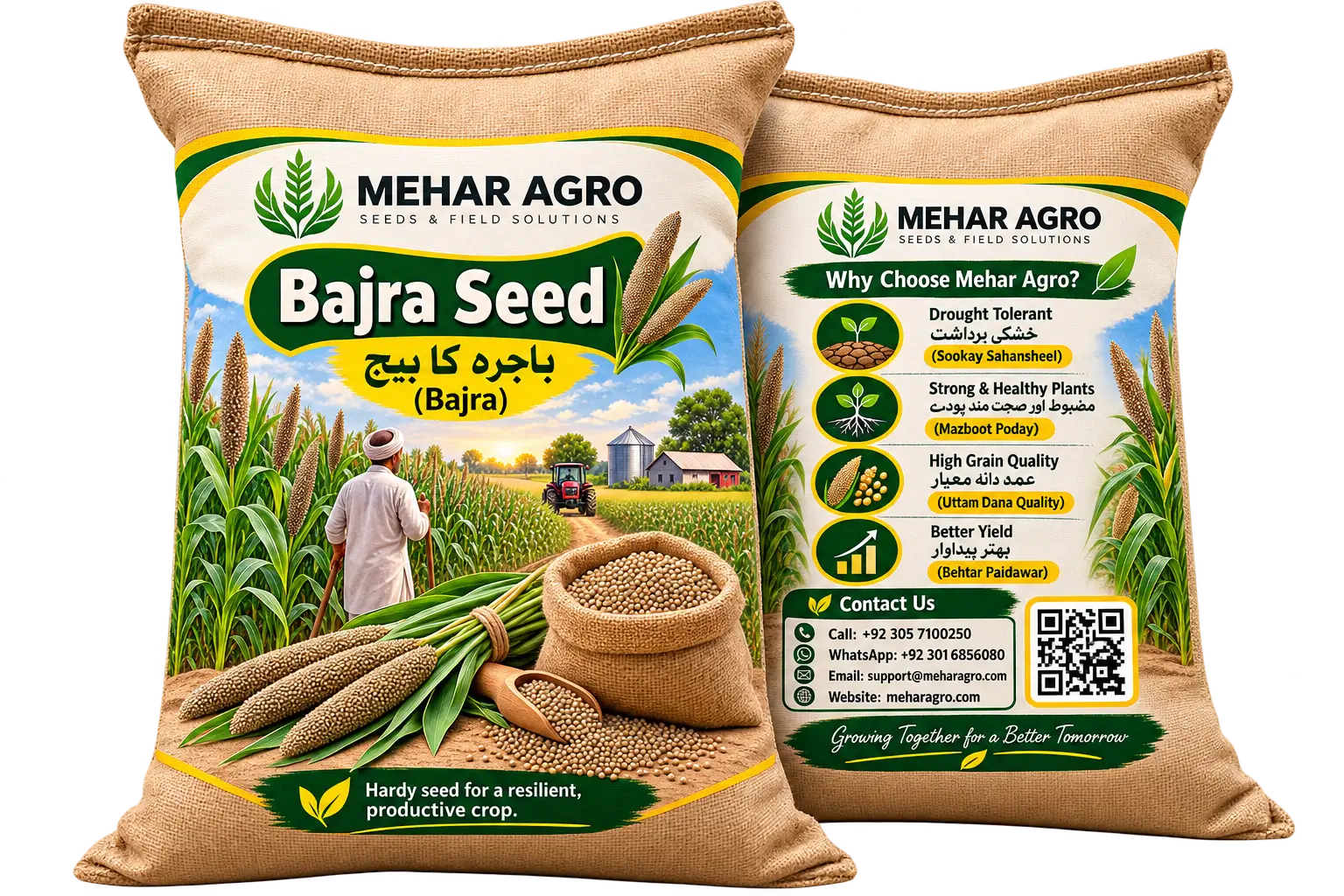 باجرہ کا بیج (Bajra Seed)
